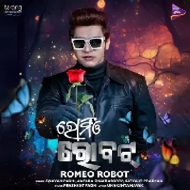Romeo Robot