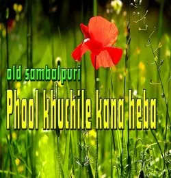 Phool Kuch Le kana heba sajani
