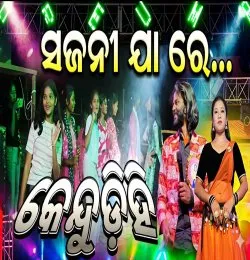 Sajani Jaa re