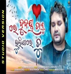 Re Hrudaya Taku Bhulijare Tu