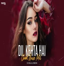 Dil Kehta Hai Chal Unse Mil (Remix)