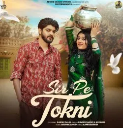 Sir Pe Tokni