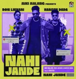 NAHI JANDE