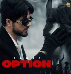 Option