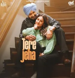 Tere Jeha