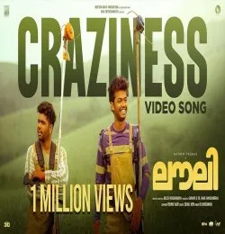 Craziness