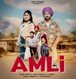 Amli