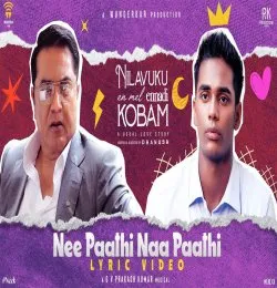 Nee Paathi Naa Paathi