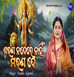 Sarana Nadele Nahin Marana De