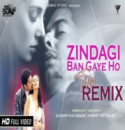 Zindagi Ban Gaye Ho Tum Alka Yagnik (Remix)