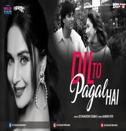 Dil To Pagal Hai DJ Shadow Dubai Remix