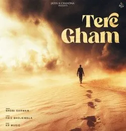 Tere Gham