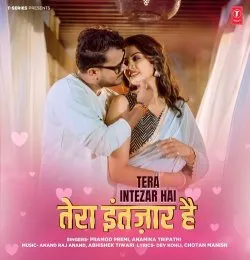 Tera Intezar Hai