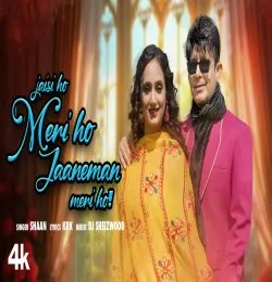 Jaisi Ho Meri Ho, Jaaneman Meri Ho