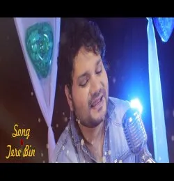 Tere Bin   Hindi Song