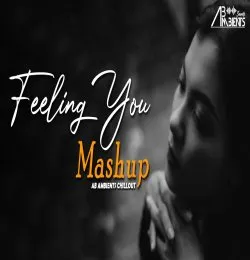 Feeling You Mashup AB Ambients Chillout Mashup