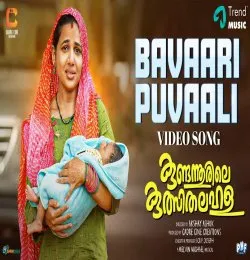 Bavaari Puvaali