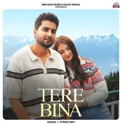 Tere Bina