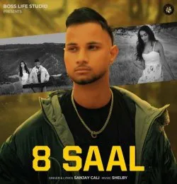 8 saal