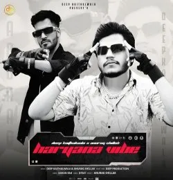 Haryana Vibe