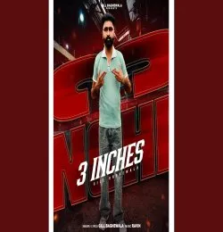 3 INCHES