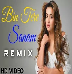 Bin Tere Sanam (Remix)Udit Narayan, Kavita Krishnamurthy