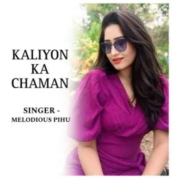 Kaliyon Ka Chaman (Remix)