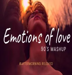 Emotions of Love 90's Old Songs Mashup