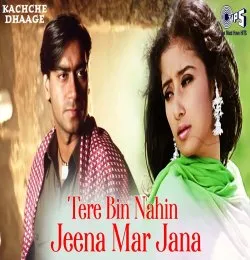 Tere Bin Nahi Jeena Marjana Dholna DJ Remix Song