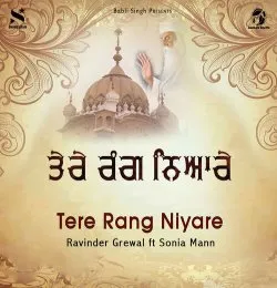 Tere Rang Niyare