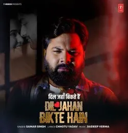 DIL JAHAN BIKTE HAIN