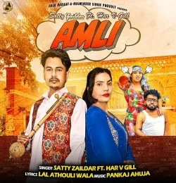 Amli
