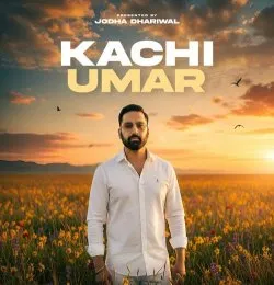 Kachi Umar