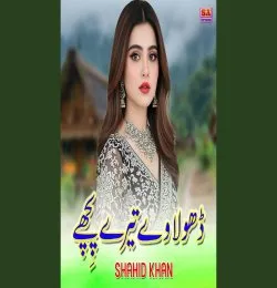 Dhola Ve Tere Pichhe