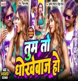 Tum To Dhokhebaaz Ho Sil Tod Ke Bhul Jate Ho