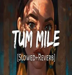 Tum Mile   Lofi Mix