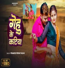 Gehu Ke Katiya