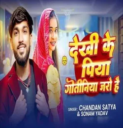 Dekhi Ke Piya Gotiniya Jaro Hai