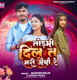 Todbhi Dil T Mari Jaibau Re