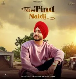 Mere Pind  Naldi