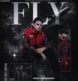 Fly