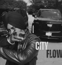 City Flow