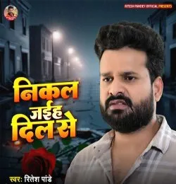 Nikal Jaiha Dil Se