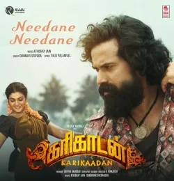 Needane Needane