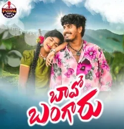 Baavo Bangaru