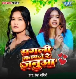 Pagali Banawale Re Janua