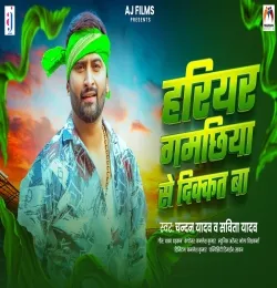 Hariyar Gamachhiya Se Dikkat Ba
