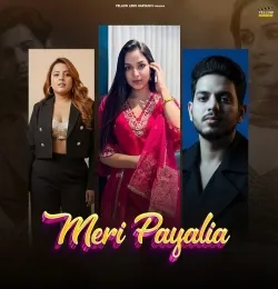 Meri Payalia