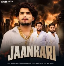 Jaankari