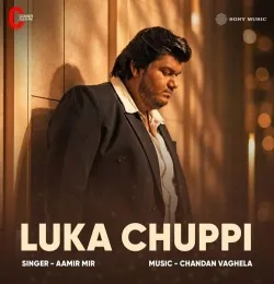 Luka Chuppi